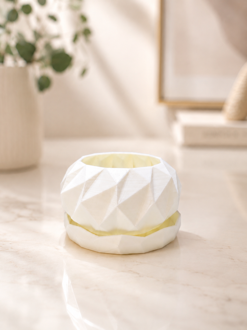 Modern Geo Planter Pot with Drainage Saucer