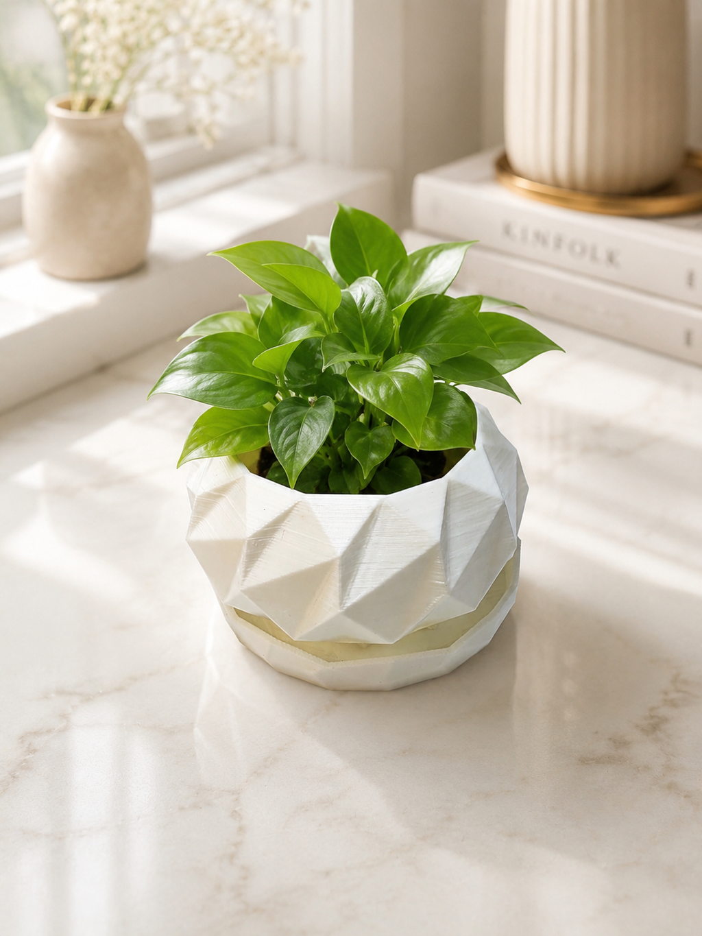 Modern Geo Planter Pot with Drainage Saucer