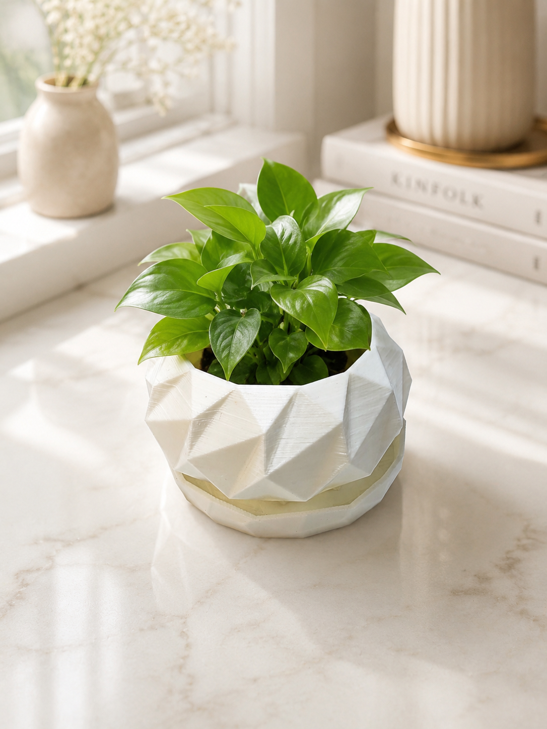 Modern Geo Planter Pot with Drainage Saucer